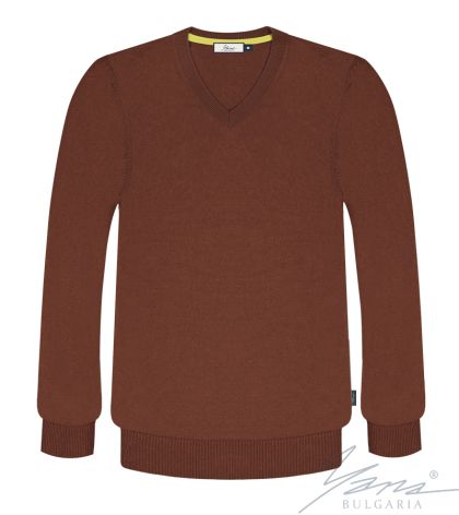 Herrenpullover, V-Ausschnitt, lange Ärmel, braun
