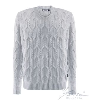 Men's thick wool round neck sweater light gray